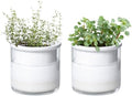 Phoenix Vine 4 Inch Self Watering Planter Pot, Design White Terracotta Pots for Plants, Indoor Cylinder Terra Cotta Pots with Glass Vase, Set of 2, 51-B-E-2 by Phoenix+Vine