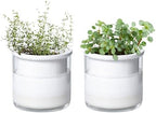 Phoenix Vine 4 Inch Self Watering Planter Pot, Design White Terracotta Pots for Plants, Indoor Cylinder Terra Cotta Pots with Glass Vase, Set of 2, 51-B-E-2 by Phoenix+Vine