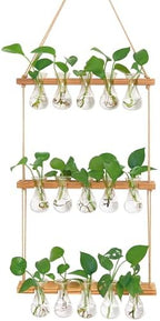 XXXFLOWER Wall Hanging Propagation Station with Wooden Stand 5 Bulb Vase 3 Tiers Planters+ 2Pcs Watering Can,Small Squeeze Bottles for Liquids,Succulent Watering Bottle with Bend Mouth,250 ML - Image 2