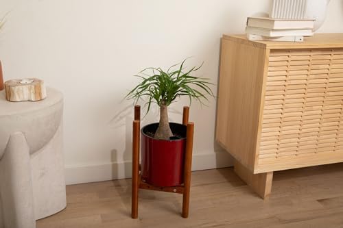 rePotme 8 inch Self Watering Plant Pot for Indoor Plants, African Violets, Succulents, The Aqua Core Collection (Ruby Red) - Image 5