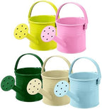 5 Pcs Kids Watering Cans, Mini Metal Plant Watering Can with Long Spout, Small Tin Flower Pots for Indoor Outdoor Gardening by DOITOOL