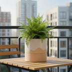 Nihow Ceramic Self Watering Plant Pot for Indoor Plants, 6 Inch,Cream White - Image 6