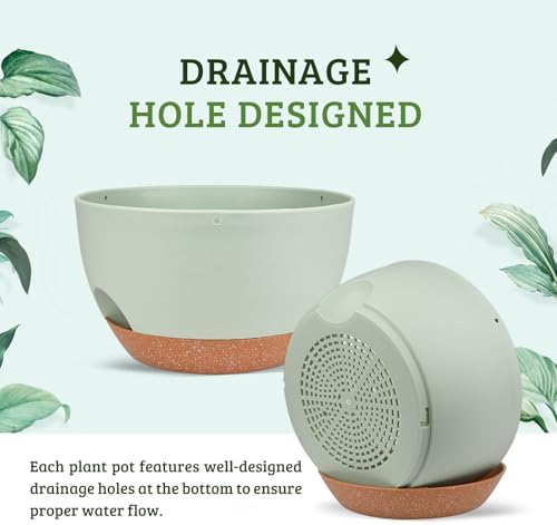 Vanslogreen Plant Pots 12inch Self Watering Pots, Set of 2 Plastic Planters with Drainage Holes and Saucers, Flower Pots for Indoor Outdoor Plants (Green) - Image 3