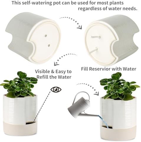 Nihow Ceramic Self Watering Plant Pot for Indoor Plants, 8 Inch,Cream White - Image 3