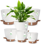 Self Watering Planter with Visual Water Level, 6Pack Small Plastic Pot Set with Drainage Holes and Reservoir Saucers, Modern 8+7+6.5+6+5.5+5 Inch Bottom Watering Flower Pots for Indoor Plant - White by Ezmixcoop