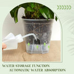 Wonderjune Self Watering Planter, 5.91'', Clear, 9 Pcs - Image 3