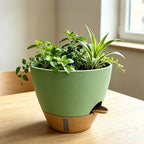 12"/10"/9"/8" Self Watering Pots with Visual Water Window,Extra Large Self Watering Plant Pots with Drainage Holes & Saucers,Green Planters for Indoor Plants,4-Pack - Image 6