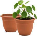 Bloem Ariana 16" Plastic Self-Watering Planter, Terra Cotta, 2-Pack by Bloem