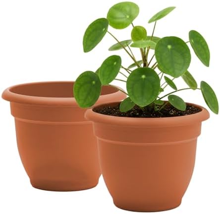 Bloem Ariana 16" Plastic Self-Watering Planter, Terra Cotta, 2-Pack by Bloem