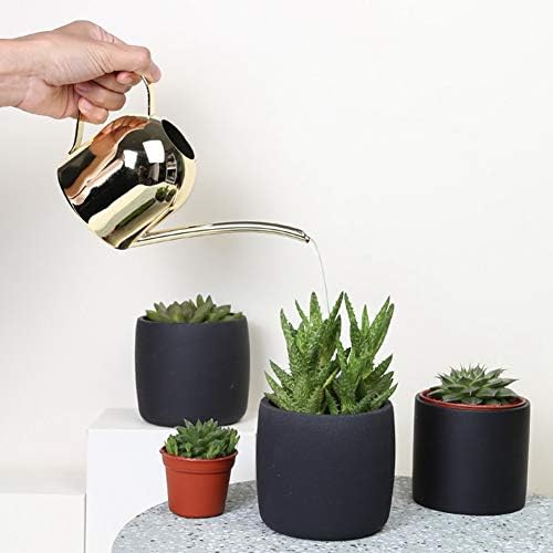 Stainless Steel Water Can for Indoor Plants and Garden, Mini Indoor Watering Can for Small Plants Stainless Steel Watering Can with Long Spout for Desk, Windowsill & Bonsai, 17oz/500ml (Gold) - Image 4