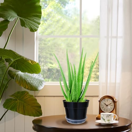 RooTrimmer 12 Pack Plant Pots, 8 Inch Plant Planter with Clear Saucer, Plastic Pots for Plants Indoor and Out Door Such as Strawberry, Herb and Flowers (Black) - Image 6