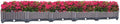 YSUEFIJO Planter Box Outdoor Plastic, Raised Garden Bed Planter Box, Planter Raised Beds for Vegetables, for Easy DIY and Cleaning, for Planting Outdoor Plants Vegetables by WELCOMETOYSUEFIJO