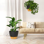 ZMTECH 12 Inch Large Self Watering Hanging Planters for Indoor Outdoor Plants - Water Level Indicator & Removable 60 Oz Reservoir, 1 Pack Plastic Hanging Basket for Window Porch Garden Balcony, Black - Image 7