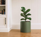D'vine Dev Plastic Planter Pot with Saucer, 10 in, Olive, 74-X-I-2 - Image 2