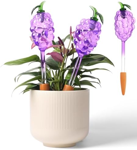 3 Packs Grape Plant Watering Globes with Terracotta Stakes, Glass Self-Watering Planter Insert, Automatic Watering Bulbs for Indoor & Outdoor Plants, Refillable via Top Opening by YURUCENUS