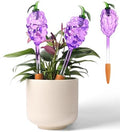 3 Packs Grape Plant Watering Globes with Terracotta Stakes, Glass Self-Watering Planter Insert, Automatic Watering Bulbs for Indoor & Outdoor Plants, Refillable via Top Opening by YURUCENUS