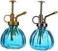 Vintage Glass Watering Spray Bottle 2Pcs for Plant and Vegetables by Parliky