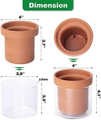 Phoenix Vine 4 Inch Self Watering Planter Pot, Terracotta Clay Pot with Glass Reservoir for Indoor Plants, Herbs, Flowers, Set of 4, 52-A-E-4 - Image 4