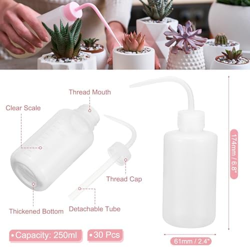 PATIKIL 250ml 8oz Succulent Eyelash Tattoo Wash Bottle, 30 Pcs Plastic Watering Squeeze Bottle Rinse Bottle for Plant Eyelash Extensions Irrigation Lab Gap Cleaning, Clear - Image 2
