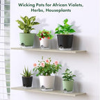 Meowell 7 inch Self Watering Pots for Indoor Plants, 5 Pack Plant Pots with Drainage Holes & Clear Reservoir for Visible Water Level, Plastic Wicking Planter Pots for House Plants and Flower, Green - Image 7