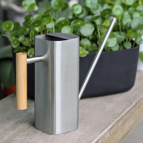 Stainless Steel Watering Can, 1L/35oz for Indoor Plants - Image 3
