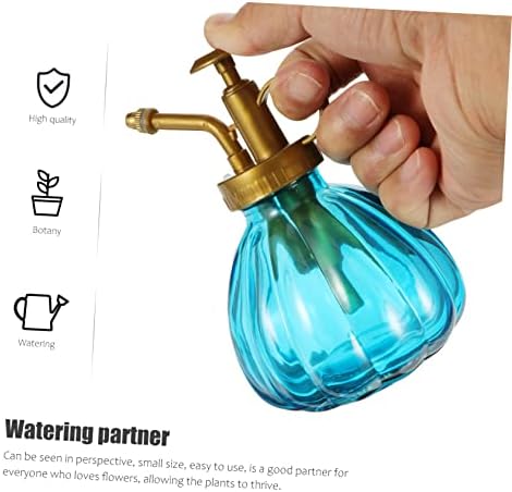Vintage Glass Watering Bottle 2 Pack for Plants and Flowers - Image 5