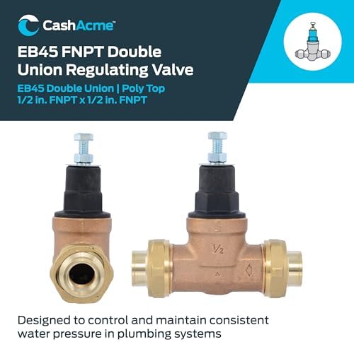 Cash Acme EB45 Pressure Regulating Valve, Double Union, 1/2 Inch NPT Female, Poly Top, 60 PSI, PVA08P-DUTH-60 - Image 2