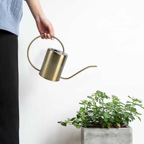 Stainless Steel Watering Kettle Long Spout Practical Pot for Indoor Outdoor Plants Brass Color Gardening Can for Home Use - Image 5