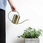 Stainless Steel Garden Watering Pot 2000ml with Long Spout - Image 5