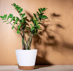 12+12Inch 2Pack Large Flower Pots for Indoor/Outdoor Plants,Self Watering Planters with Reservoir and Drainage Hole White Plastic Planting Pots Modern Home Decor Gift Idea - Image 7