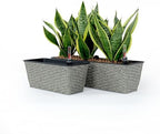 Planters, Self-Watering Rectangle Wicker, 2-Pack, 23 Inch, Gray by Noeko