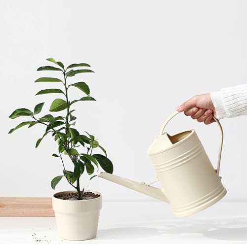 0.5 Gallon Plant Watering Can,Plastic Long Spout Watering Can with Detachable Sprinkler Head and Handles,Small Watering Can for House Succulent Bonsai Garden Flower Office Indoor Plants - Image 7