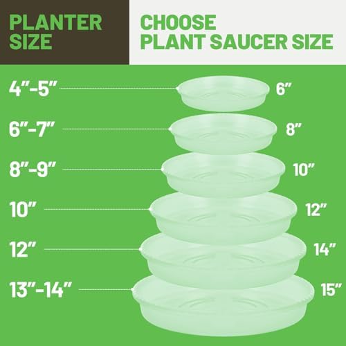 MUDEELA 6-Pack Plastic Plant Saucers Tray for Indoor, 14 Inches, Clear - Image 3