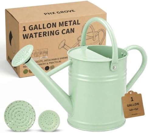 1 Gallon Metal Watering Can for Indoor Outdoor Plants, Pale Mint by PHXGrove