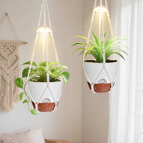 Hanging Planters - Help Plants Thrive in Low Light by Unknown
