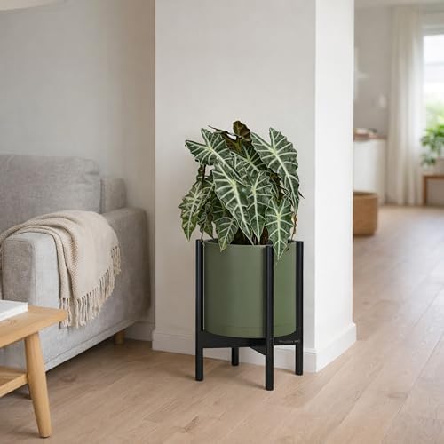D'vine Dev Plastic Pot with Ebony Wood Stand, Olive, 10 in, 55-C-N-3 - Image 4