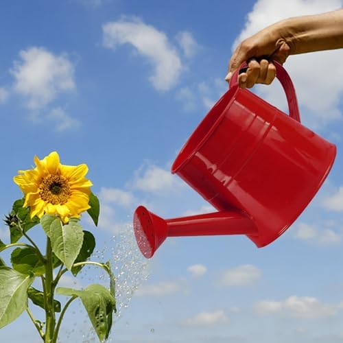 Metal Watering Can for Indoor Outdoor Garden Modern Minimalist Design with Detachable Sprinkler Head Ergonomic Comfort Grip Handle Efficient Irrigation Tool for Flower Lovers and (G, 24.5X11.5X11CM) - Image 2