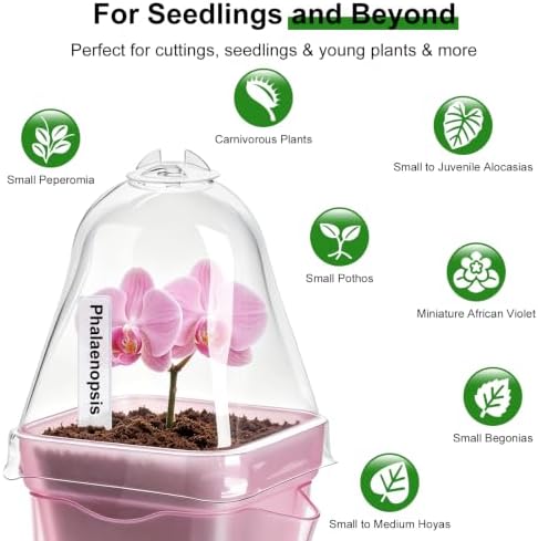 12 Pcs Self Watering Pots with Humidity Dome for Indoor Plants - Small Clear Propagation Cups, Plastic Tissue Culture Acclimation Kit for African Violet, Succulent, Alocasia, Hoya（Pink） - Image 3