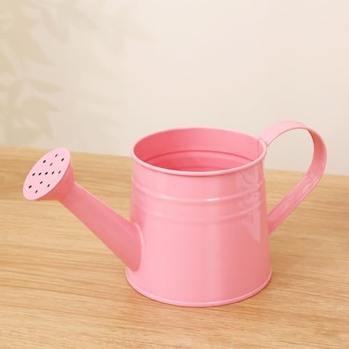 1L Retro Metal Painted Watering Can with Long Spout & Handle - Image 4