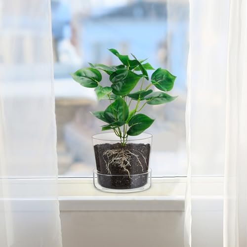 2 Sets 6 Inch Glass Planter with Drainage Hole and Tray Indoor Clear Plant Pots with Saucer Modern Decorative Orchid Glass Pot for Outdoor Flower Plants - Image 6