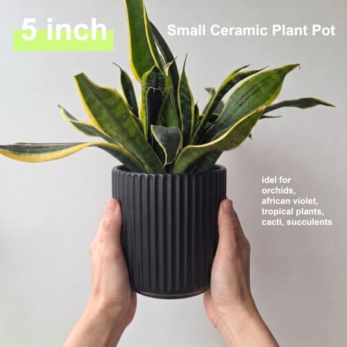 Ceramic Orchid Pot, Clear Nursery Pot & self Watering,5 inch,Black - Image 3