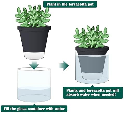 D'vine Dev Self-Watering Black Terracotta Planter, 4 in, 3-Pack, 37-Z-A-3-T - Image 5