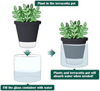 D'vine Dev Self-Watering Black Terracotta Planter, 4 in, 3-Pack, 37-Z-A-3-T - Image 5