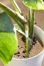 Sustee Aquameter, Set of 5, Plant Soil Moisture Sensor (Green, Medium) - Image 7