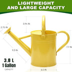 Metal Watering Can with Removable Spout, Galvanized, Perfect for Indoor and Outdoor Use (1 Gallon, Yellow) - Image 2