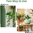 Hanging Planters, 3 Pack, Self-Watering, 10 Inch, Green - Image 4