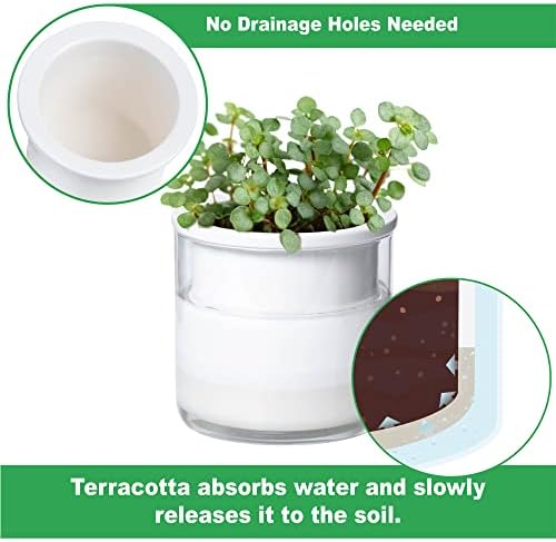 Phoenix Vine 4 Inch Self Watering Planter Pot, Design White Terracotta Pots for Plants, Indoor Cylinder Terra Cotta Pots with Glass Vase, Set of 4, 51-B-E-4 - Image 3