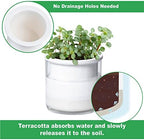 Phoenix Vine 4 Inch Self Watering Planter Pot, Design White Terracotta Pots for Plants, Indoor Cylinder Terra Cotta Pots with Glass Vase, Set of 4, 51-B-E-4 - Image 3