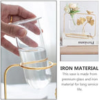Xmas Glass Vase for Hydroponics Plants, Nordic Ginkgo Leaf Ornament - Image 5