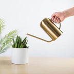 0.23 Gallon Metal Watering Can, Modern Metal Stylish Water Can for Plants with Long Spout and Handle,Stainless Steel Rustproof Decorative Indoor Watering Cans for House Plants Home Outdoor - Image 6